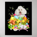 Suche nach weißer hund poster Hundevater