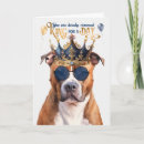 Suche nach pitbull terrier karten Hunde