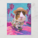 Recherche de pigs cartes postales Adorable