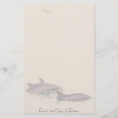 Recherche de dauphin de bottlenose Mer