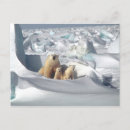 Recherche de ourson cartes postales Neige