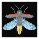 Recherche de lucioles posters Insecte