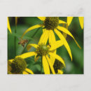 Suche nach honigbienen postkarten Bienenliebhaber