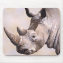 Recherche de rhinoceros tapis souris Africain