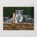 Recherche de étendu cartes postales Nature