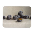 Recherche de prune magnets Fruits