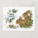 Recherche de lapin neige cartes postales Oiseau