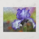 Suche nach lila iris postkarten Gartenarbeit