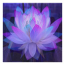 Suche nach lotus poster Blau