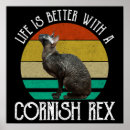 Suche nach rex poster Katze