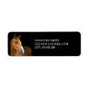 Recherche de horse labels Pour tous