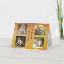 Recherche de année singe cartes postales 2016