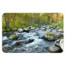Recherche de crique magnets Courant