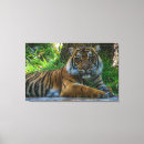 Recherche de zoo impressions sur toile Peinture murale