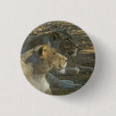 Recherche de roi lion badges Faune
