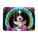 Recherche de panier magnets Mignon