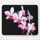 Suche nach orchidee mousepads Blumen