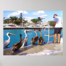 Suche nach boynton poster Vögel