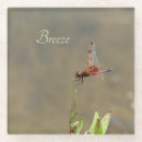 Suche nach libelle untersetzer Flügel