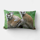Suche nach madagaskar kissen Lemur