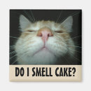 Recherche de cake magnets Birthday