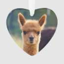 Recherche de alpaga ornements Lama