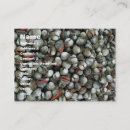 Recherche de coques cartes visite Coquille