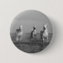 Recherche de cheval blanc noir badges Pour tous