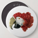 Recherche de macaw badges Oiseau