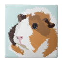 Recherche de cobayes Piggies