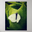 Recherche de mite posters Vert