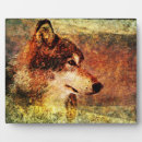 Suche nach wolf fotoplatten Tier