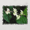 Suche nach kneipe postkarten Natur