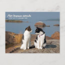 Recherche de suomi cartes postales Toute personne