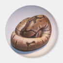 Recherche de python magnets Boule