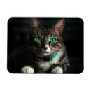 Recherche de aux yeux bleus magnets Mignon