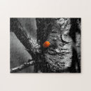 Suche nach marienkäfer puzzle Natur
