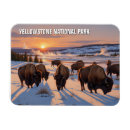 Suche nach yellowstone magnete Urlaub