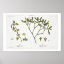 Suche nach 1790 poster Matthias