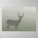 Recherche de brouillard posters Extérieur