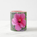 Suche nach rosa hibiskus tassen Natur