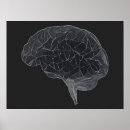 Recherche de neurones posters Cerveau