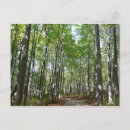 Recherche de boise cartes postales Arbre
