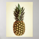Recherche de fruit exotique s posters Vintage