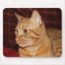 Recherche de rouille tapis souris Orange