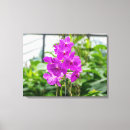 Recherche de orchidée art Toile
