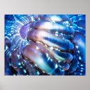 Recherche de perles posters Tropical