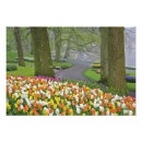 Suche nach keukenhof poster Wachsend