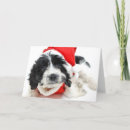 Suche nach studioschuß karten Weihnachten
