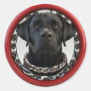 Suche nach labrador retriever aufkleber Schwarzer lab